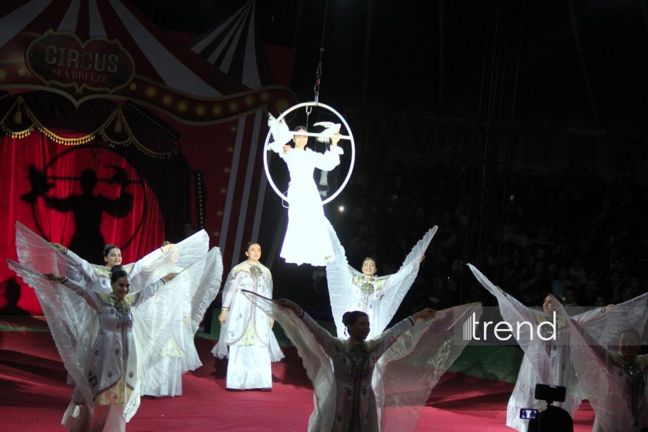 Впервые в Баку легендарное конное шоу "Галкыныш" из Туркменистана - перформанс в Circus Sea Breeze