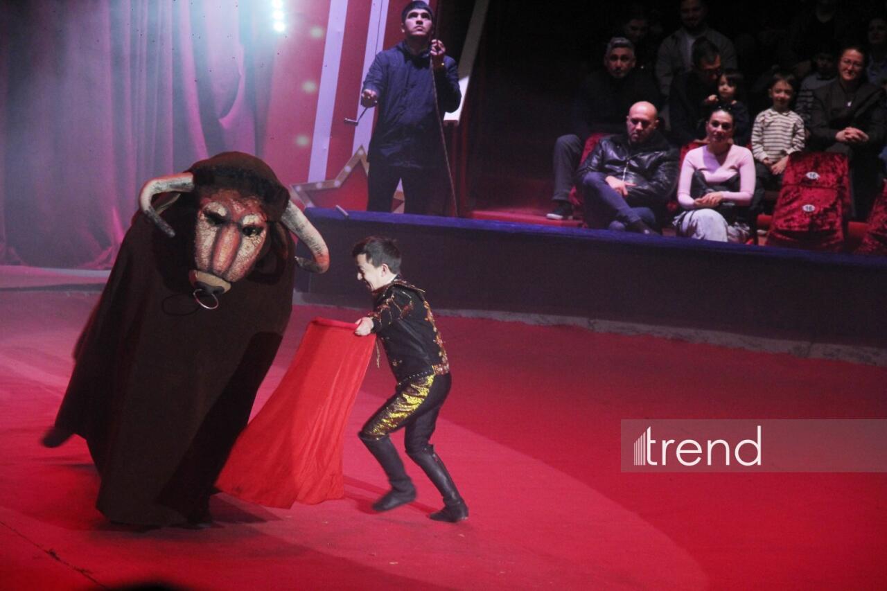 Впервые в Баку легендарное конное шоу "Галкыныш" из Туркменистана - перформанс в Circus Sea Breeze