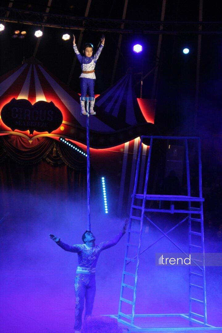 Впервые в Баку легендарное конное шоу "Галкыныш" из Туркменистана - перформанс в Circus Sea Breeze