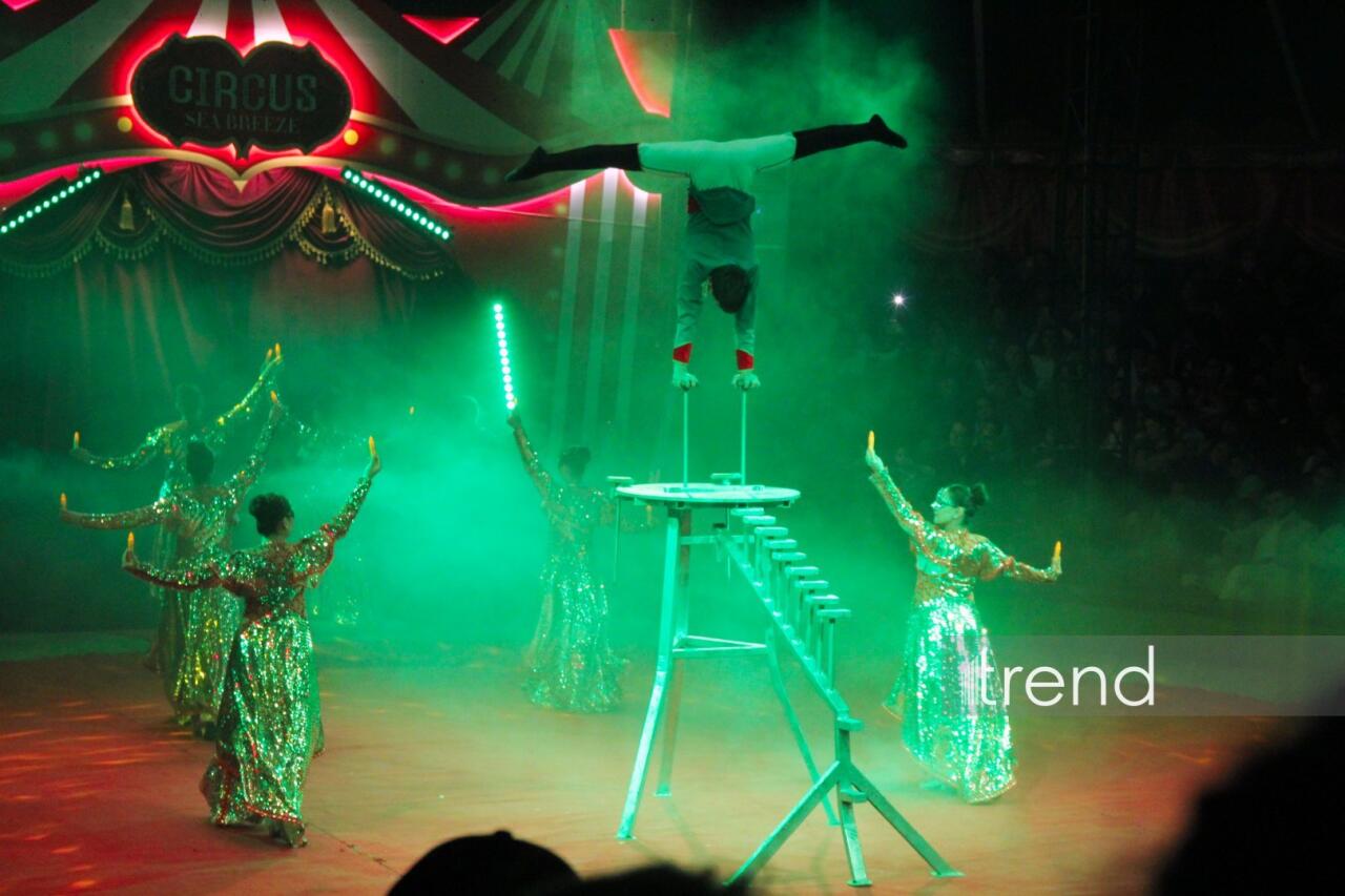 Впервые в Баку легендарное конное шоу "Галкыныш" из Туркменистана - перформанс в Circus Sea Breeze