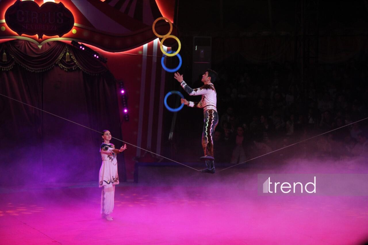 Впервые в Баку легендарное конное шоу "Галкыныш" из Туркменистана - перформанс в Circus Sea Breeze