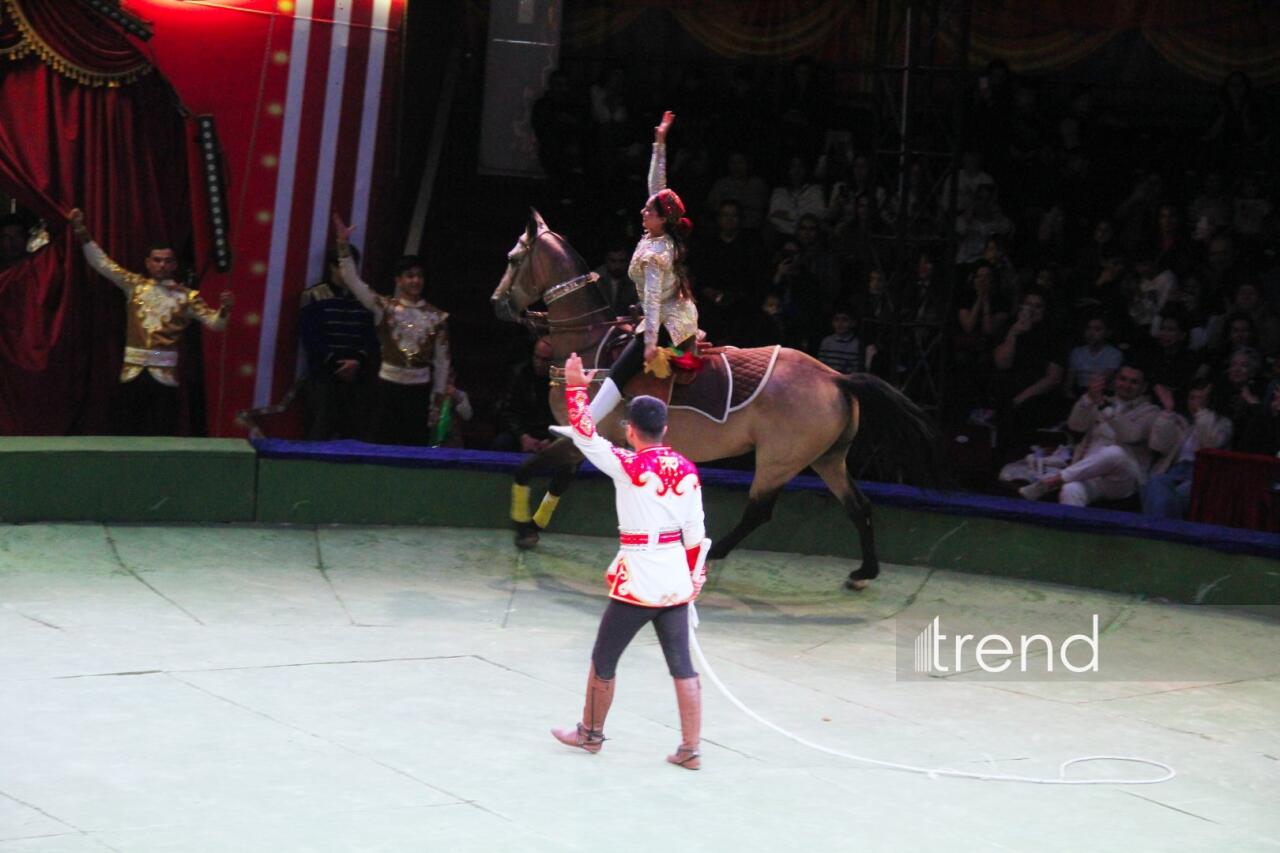 Впервые в Баку легендарное конное шоу "Галкыныш" из Туркменистана - перформанс в Circus Sea Breeze