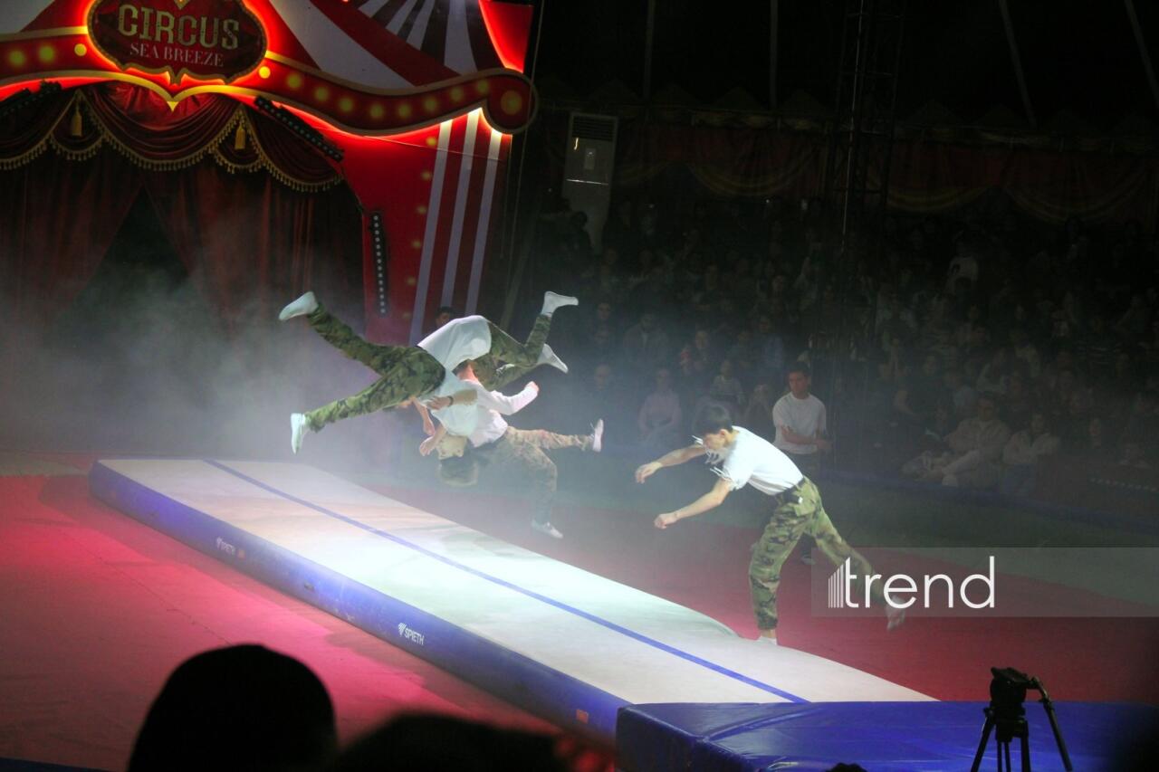 Впервые в Баку легендарное конное шоу "Галкыныш" из Туркменистана - перформанс в Circus Sea Breeze