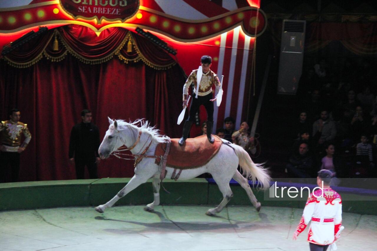 Впервые в Баку легендарное конное шоу "Галкыныш" из Туркменистана - перформанс в Circus Sea Breeze