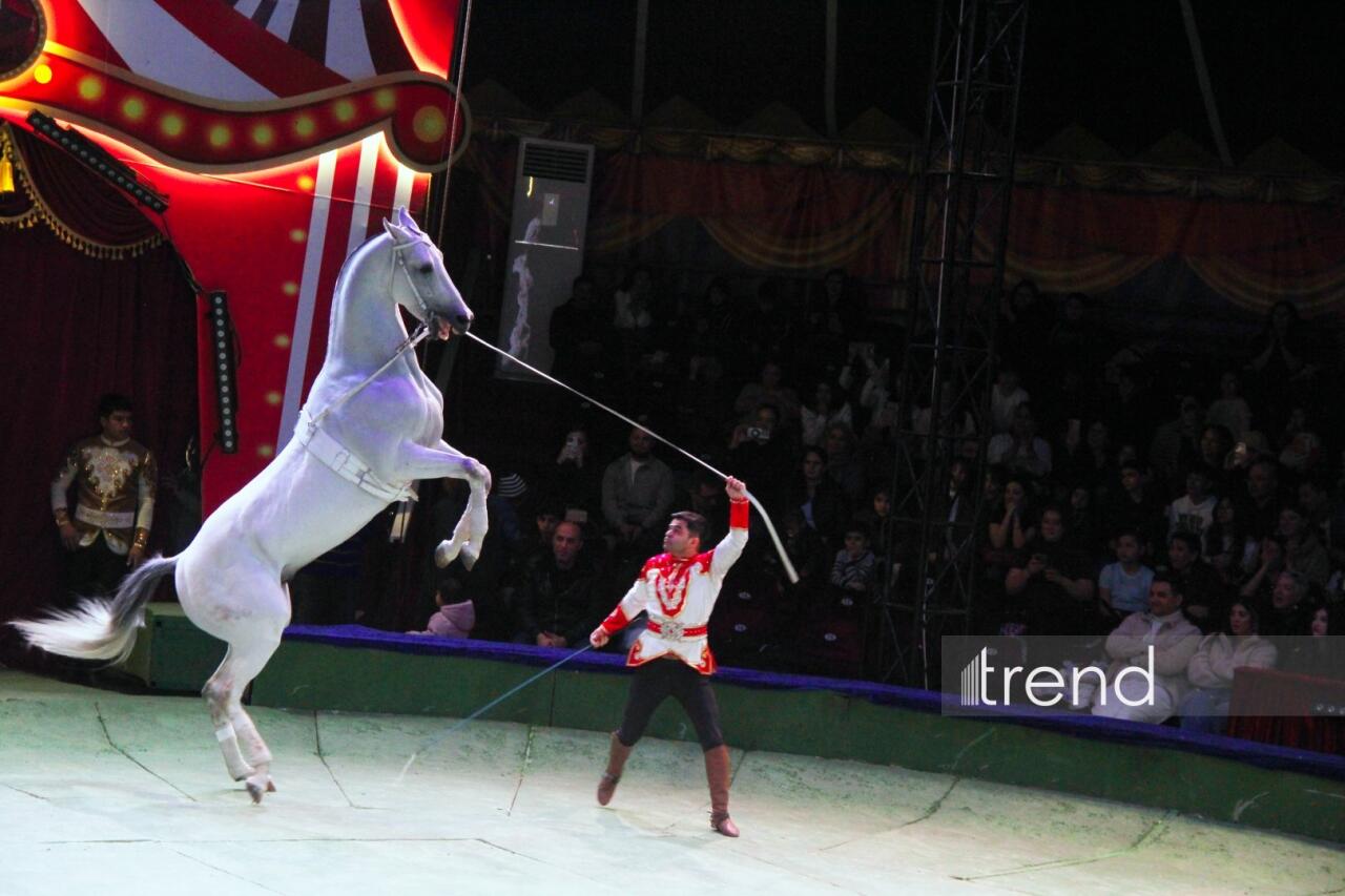 Впервые в Баку легендарное конное шоу "Галкыныш" из Туркменистана - перформанс в Circus Sea Breeze