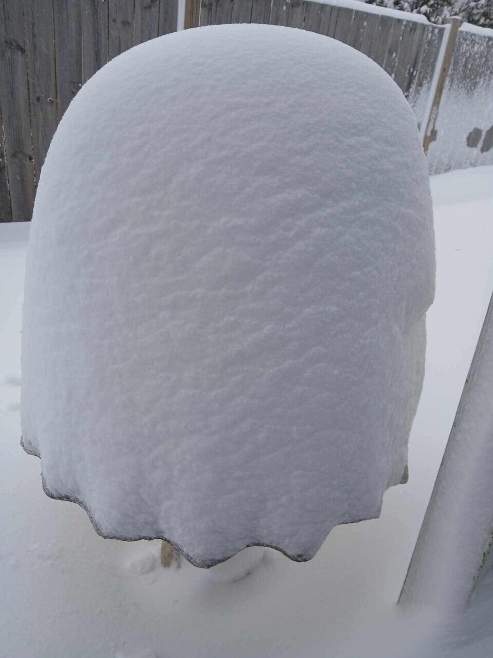 В США вернулась настоящая зима