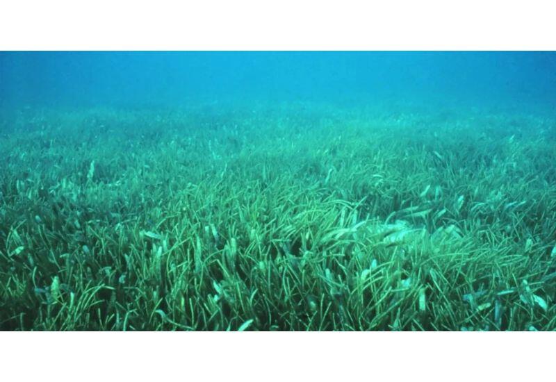 500 млн лет назад нечто вышло из моря на сушу и навсегда изменило Землю: