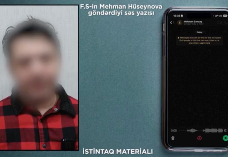 Опубликована переписка человека, пытавшегося шантажировать семью Президента Азербайджана, с Мехманом Гусейновым