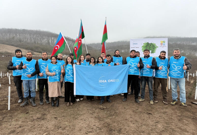 В Товузе и Геранбое с участием волонтеров IDEA посажено более 2000 деревьев