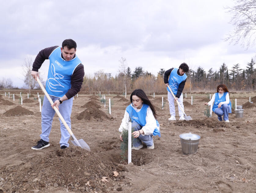 IDEA könüllülərinin iştirakı ilə Tovuzda və Goranboyda 2000-dən çox ağac əkilib