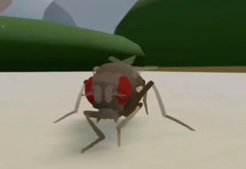 Ученые оживили мозг мухи в виртуальном мире