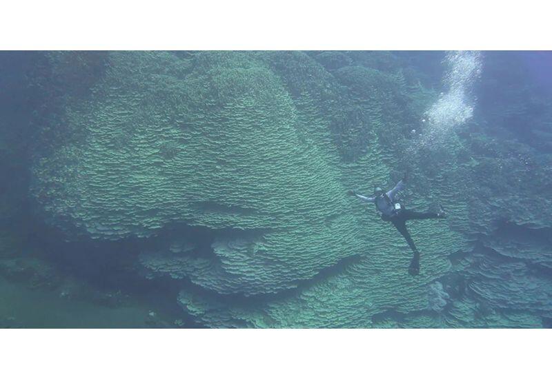 Ему не менее 2000 лет: