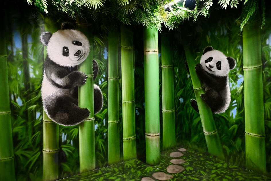 В Баку открылся Музей иллюзий