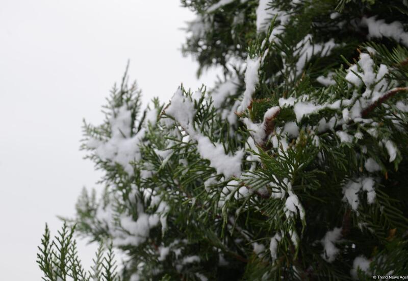 Dolu düşəcək, qar yağacaq - Xəbərdarlıq