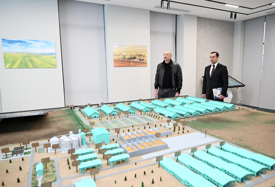 Президент Ильхам Алиев принял участие в открытии животноводческого комплекса «Ширван Агро» в Шамахы