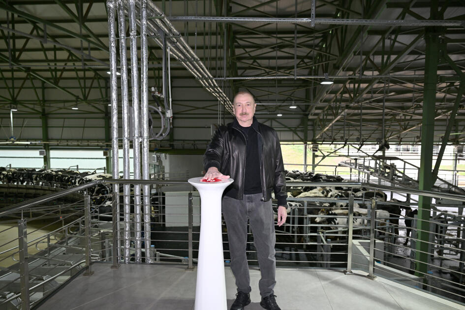 Президент Ильхам Алиев принял участие в открытии животноводческого комплекса «Ширван Агро» в Шамахы