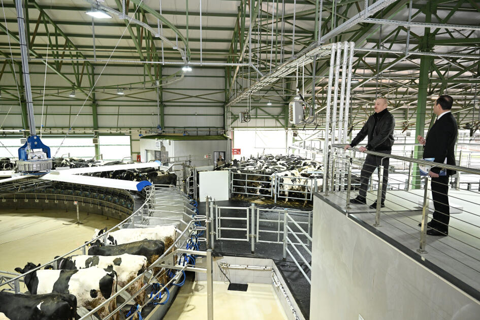 Президент Ильхам Алиев принял участие в открытии животноводческого комплекса «Ширван Агро» в Шамахы