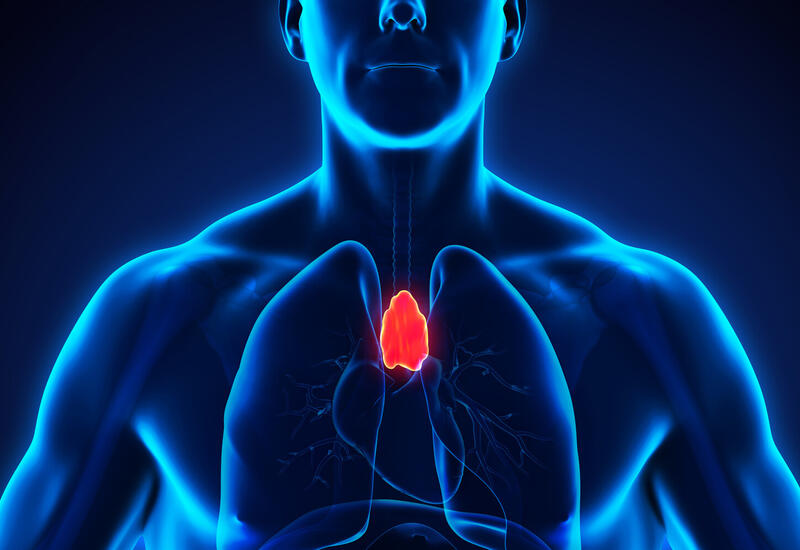 «Ненужный» орган может снижать риск рака и болезней сердца, выяснили ученые