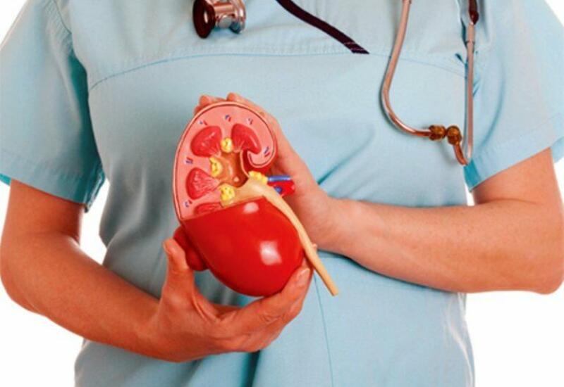 В Азербайджане растет число пациентов с болезнями почек