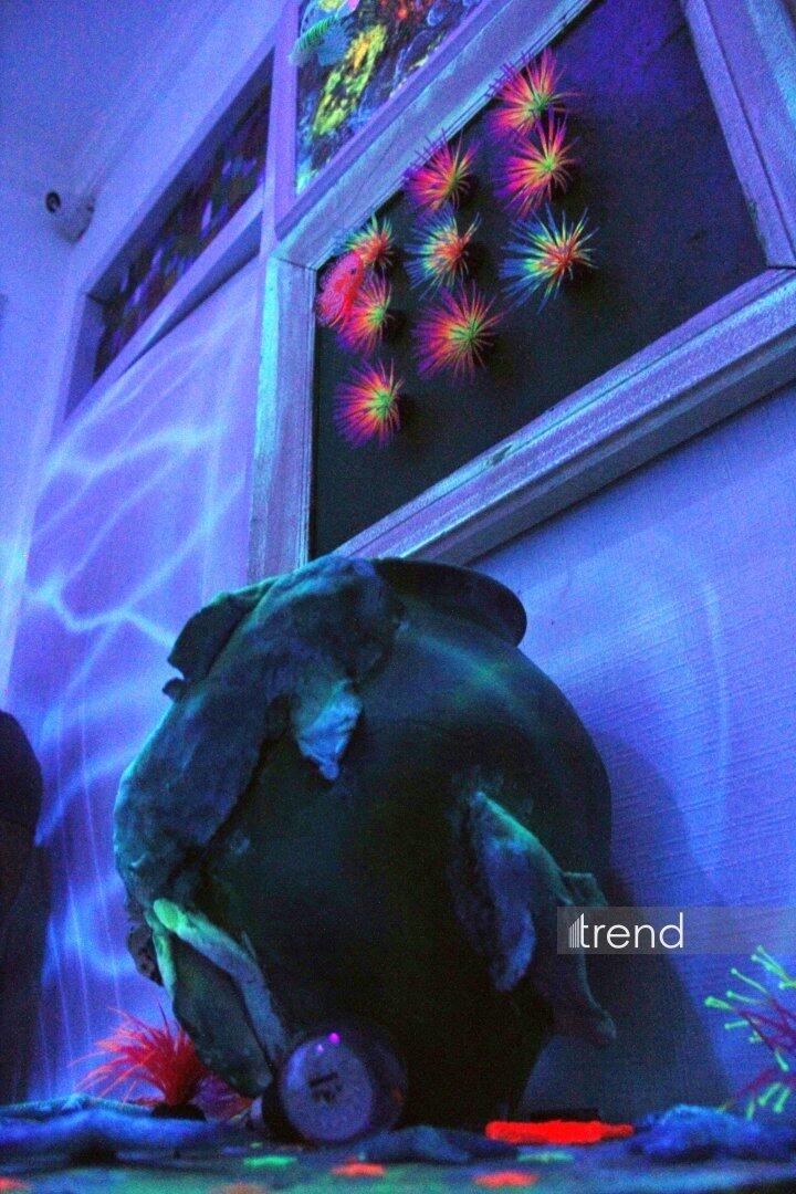 Единственный в мире Музей неонового искусства Farhouse в Баку отметил юбилей экспозицией "Экология моря"