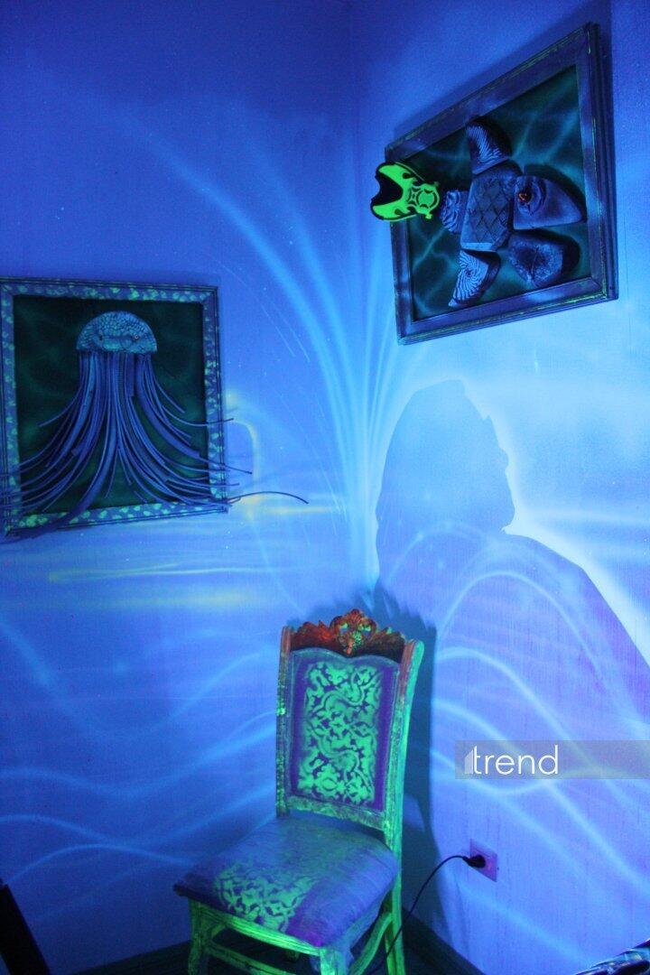 Единственный в мире Музей неонового искусства Farhouse в Баку отметил юбилей экспозицией "Экология моря"