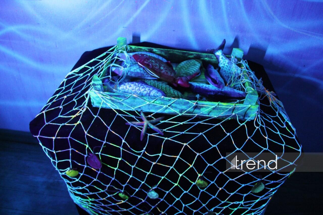 Единственный в мире Музей неонового искусства Farhouse в Баку отметил юбилей экспозицией "Экология моря"