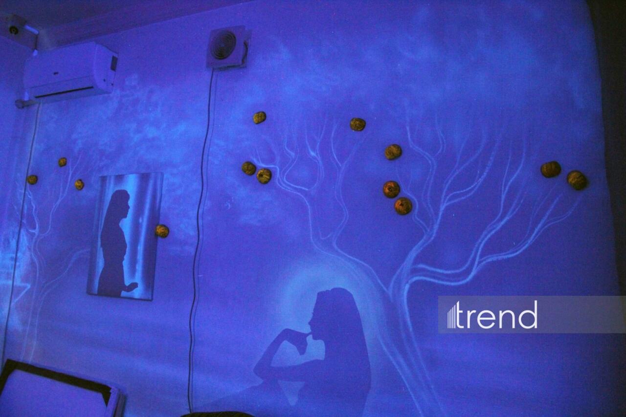 Единственный в мире Музей неонового искусства Farhouse в Баку отметил юбилей экспозицией "Экология моря"