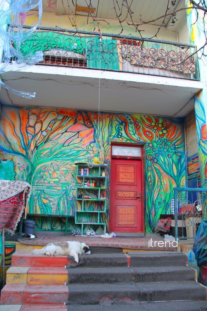 Единственный в мире Музей неонового искусства Farhouse в Баку отметил юбилей экспозицией "Экология моря"