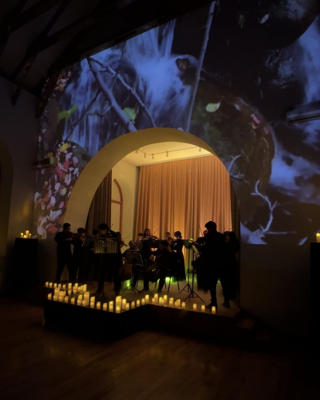 Времена года в Баку под мировую классику Вивальди