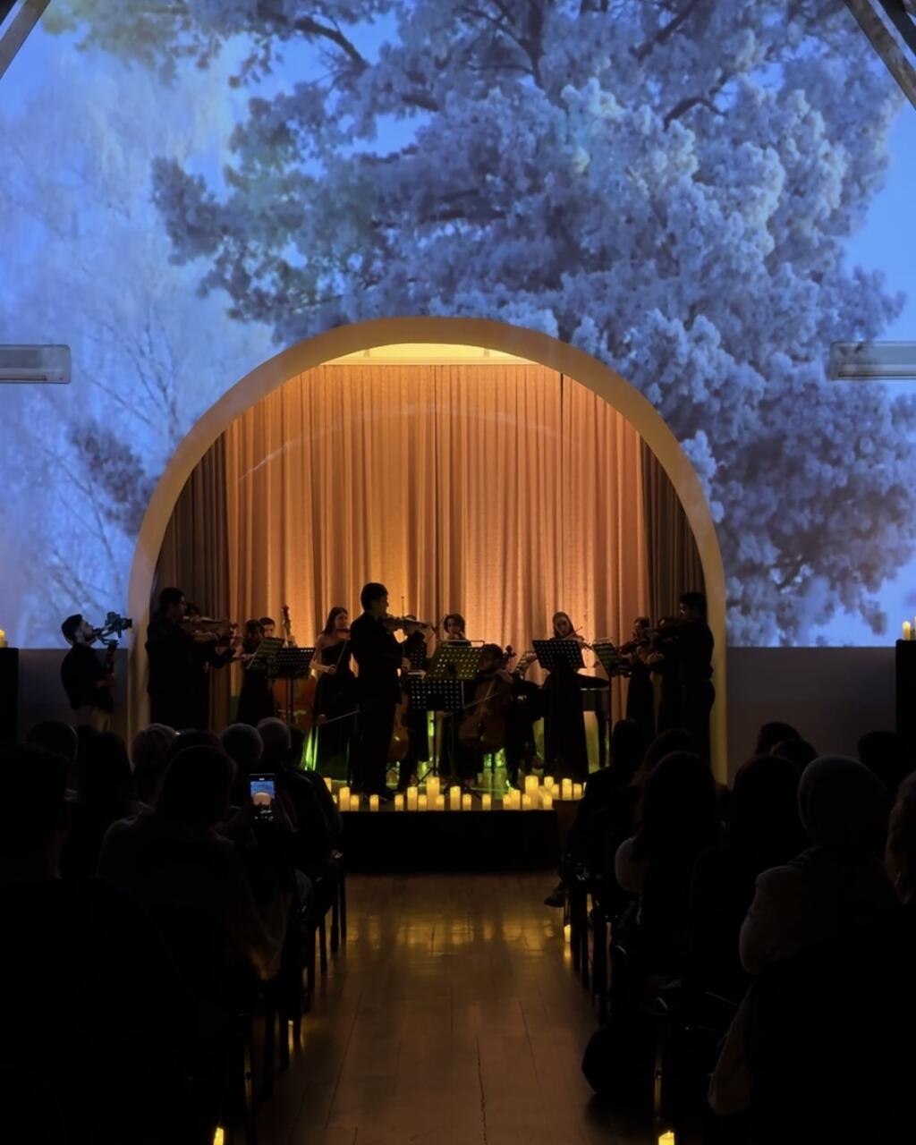 Времена года в Баку под мировую классику Вивальди