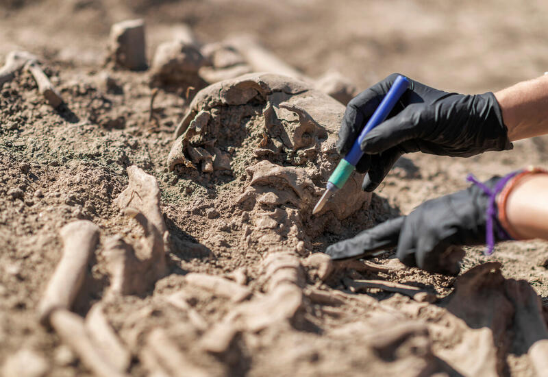 В Нидерландах нашли возможные останки мушкетера д'Артаньяна