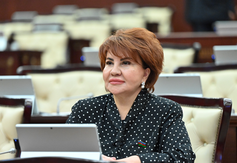 Təhlükəsizlik orqanları dövlətimizin suverenliyini və milli maraqlarını qətiyyətlə qoruyur