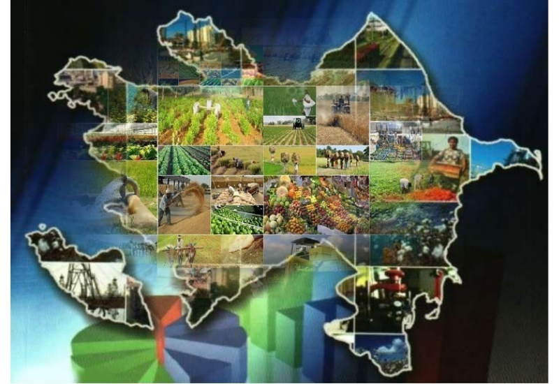 Не столицей единой: как регионы становятся опорой нового экономического курса Азербайджана