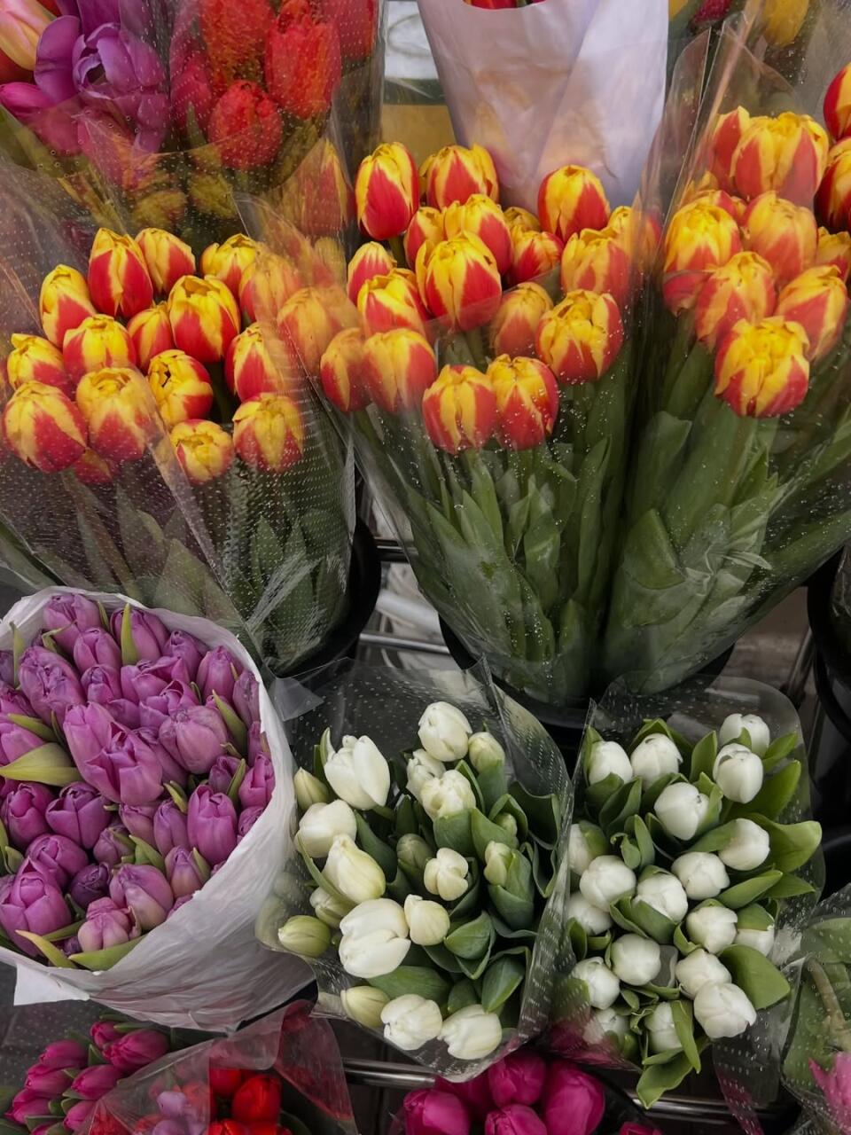 Март в картинках от asolia