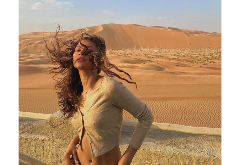 Зендея планирует взять паузу в кино после насыщенного года