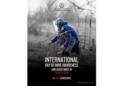 Баку призвал усилить международную поддержку разминирования