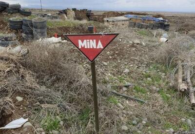 Шесть лет борьбы с армянскими минами - Азербайджан действует на опережение