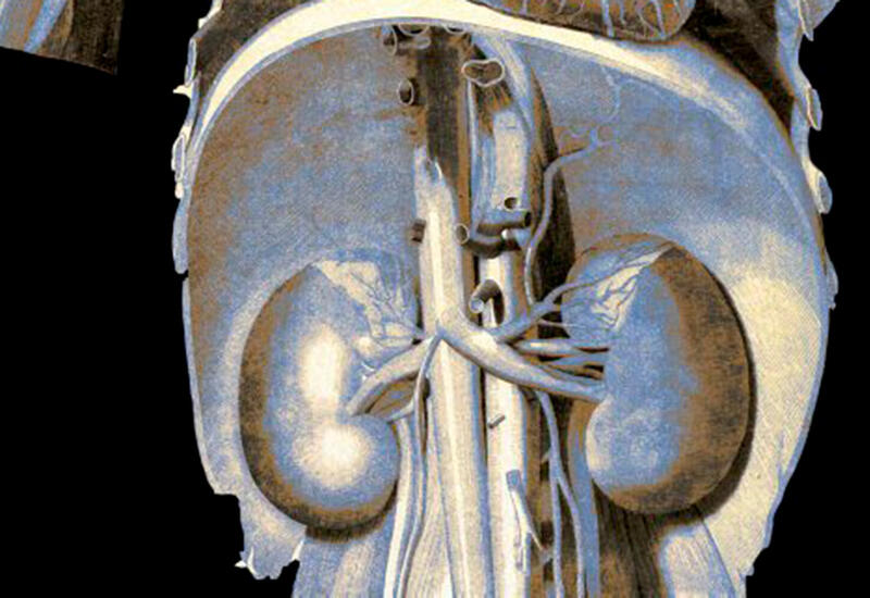 Болезни десен грозят повреждением почек
