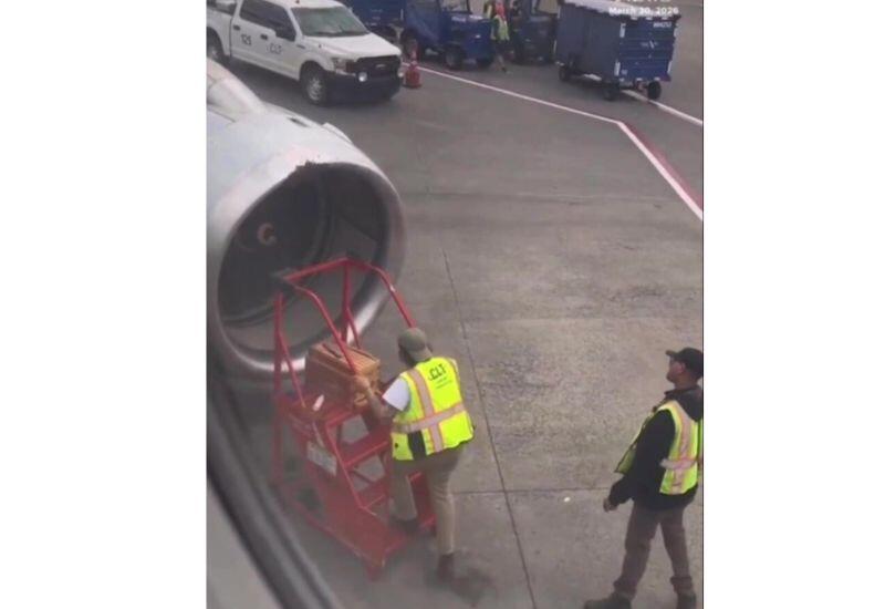 Рой пчел сорвал вылет самолета