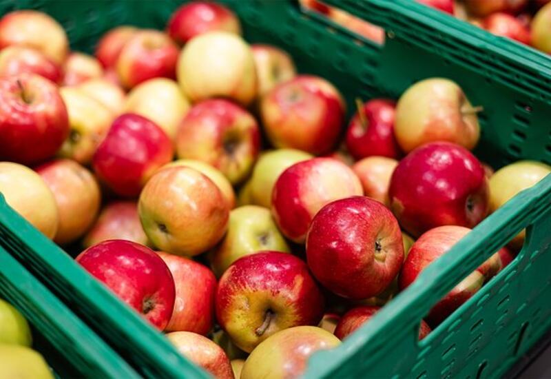 Диетолог раскрыла последствия злоупотребления яблоками