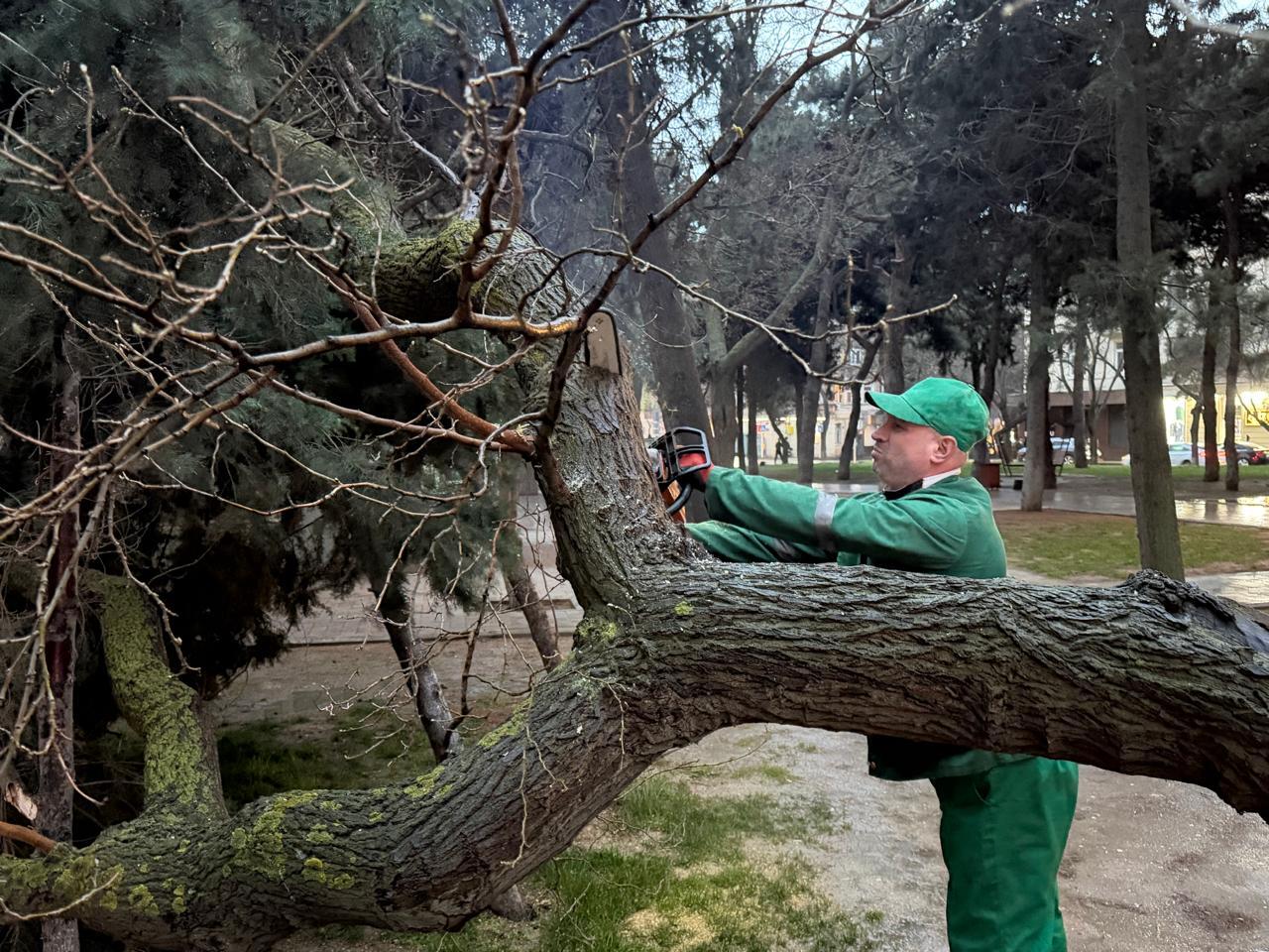 В Баку устраняют последствия интенсивных дождей