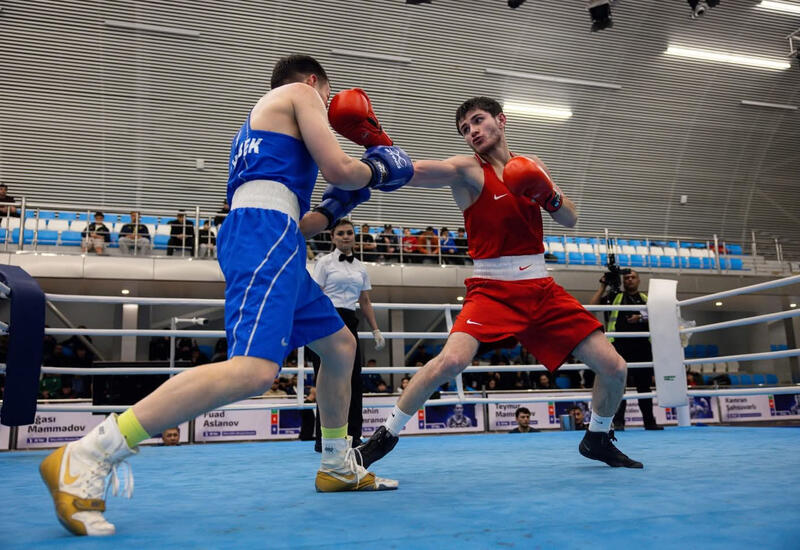 Азербайджанские боксеры доминируют на "Шелковом пути" в Баку