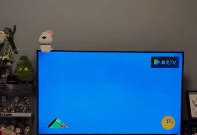 В Китае запустили телеканал для животных