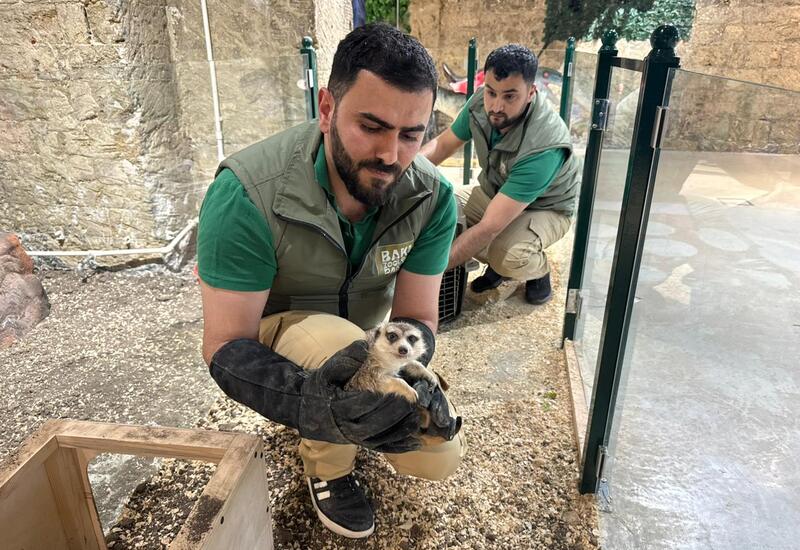 Спасены незаконно содержащиеся дикие животные