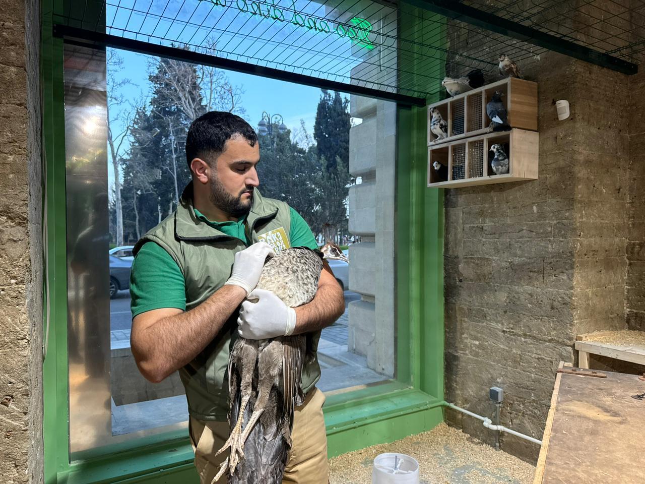 Спасены незаконно содержащиеся дикие животные