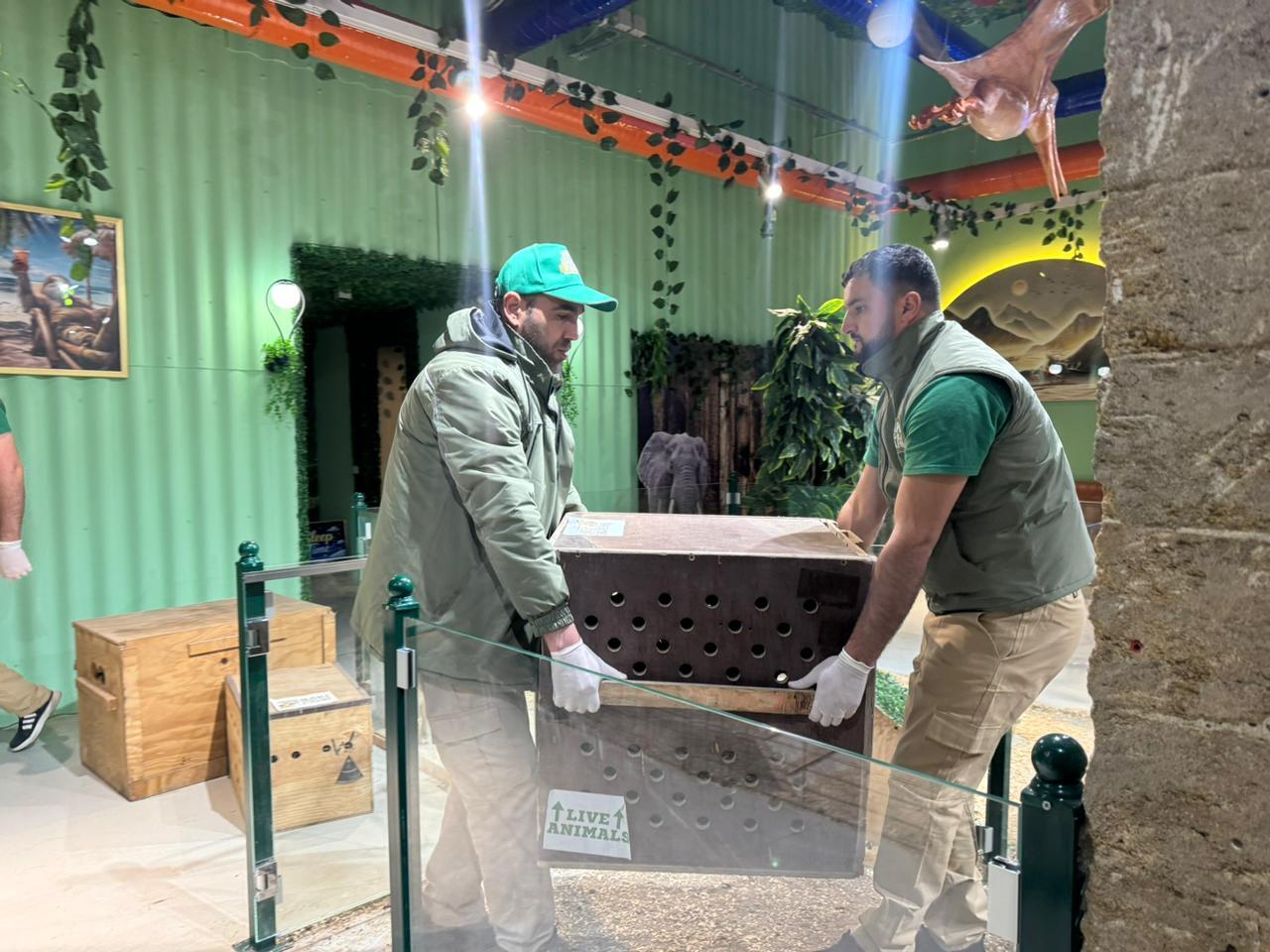 Спасены незаконно содержащиеся дикие животные