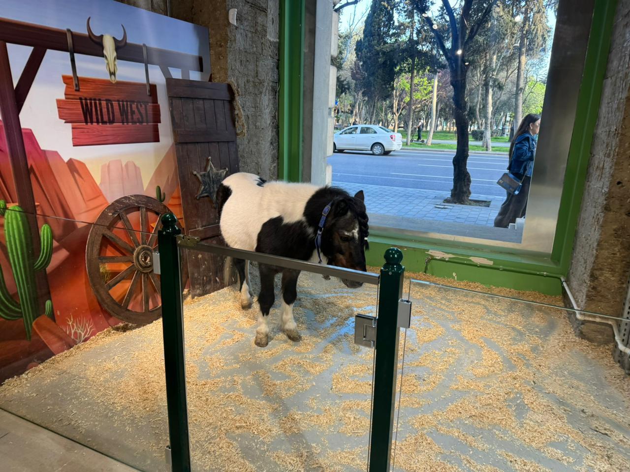 Спасены незаконно содержащиеся дикие животные