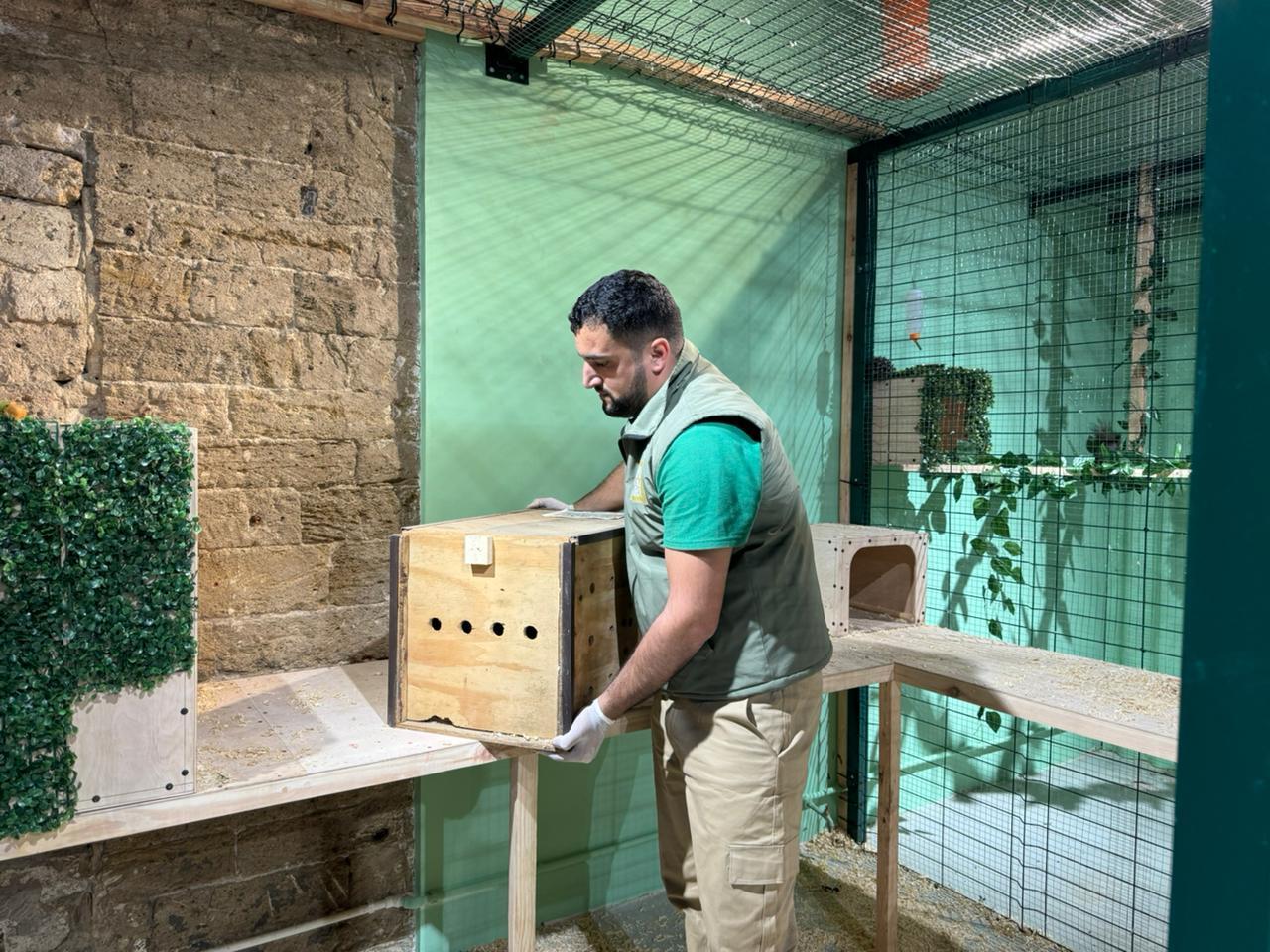 Спасены незаконно содержащиеся дикие животные