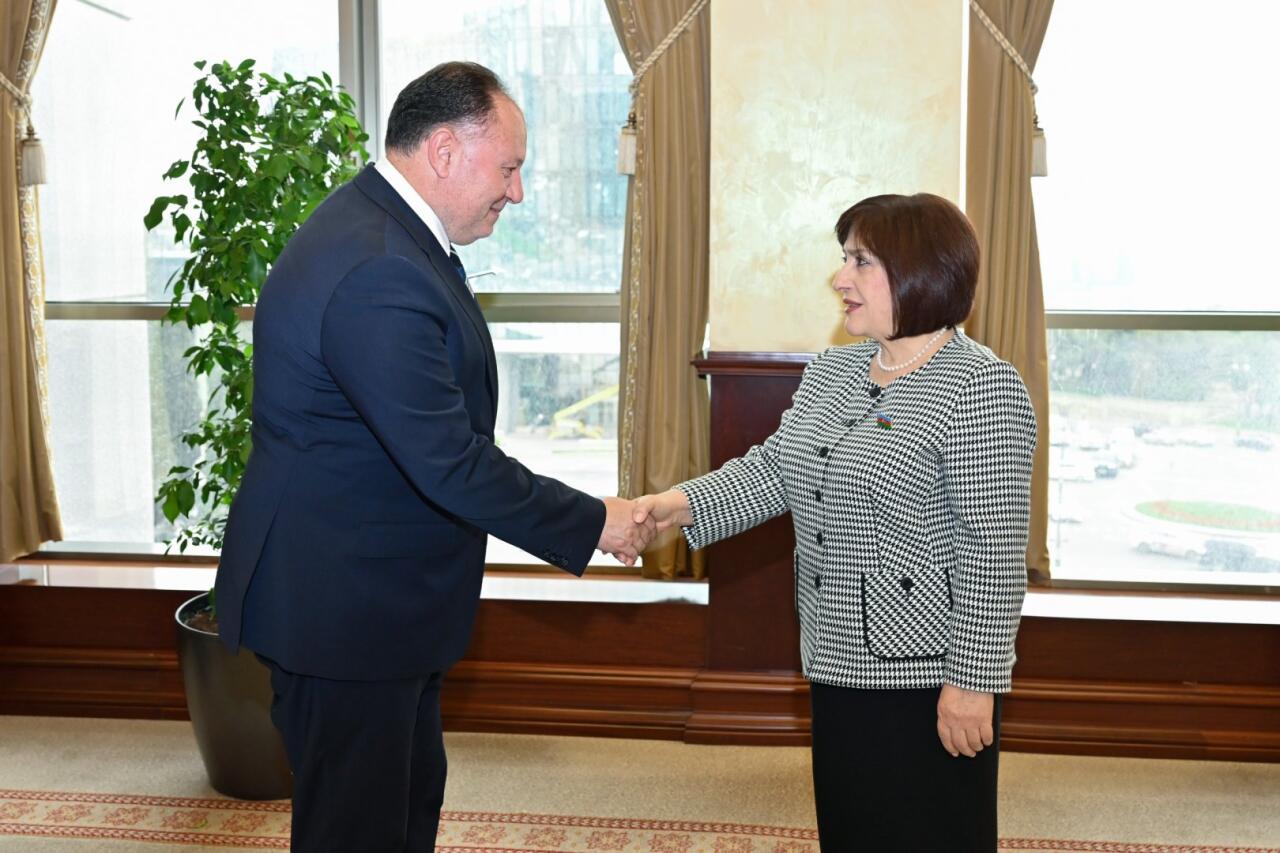 Сахиба Гафарова встретилась с участниками 3-й встречи парламентских групп дружбы Азербайджана, Турции и ТРСК