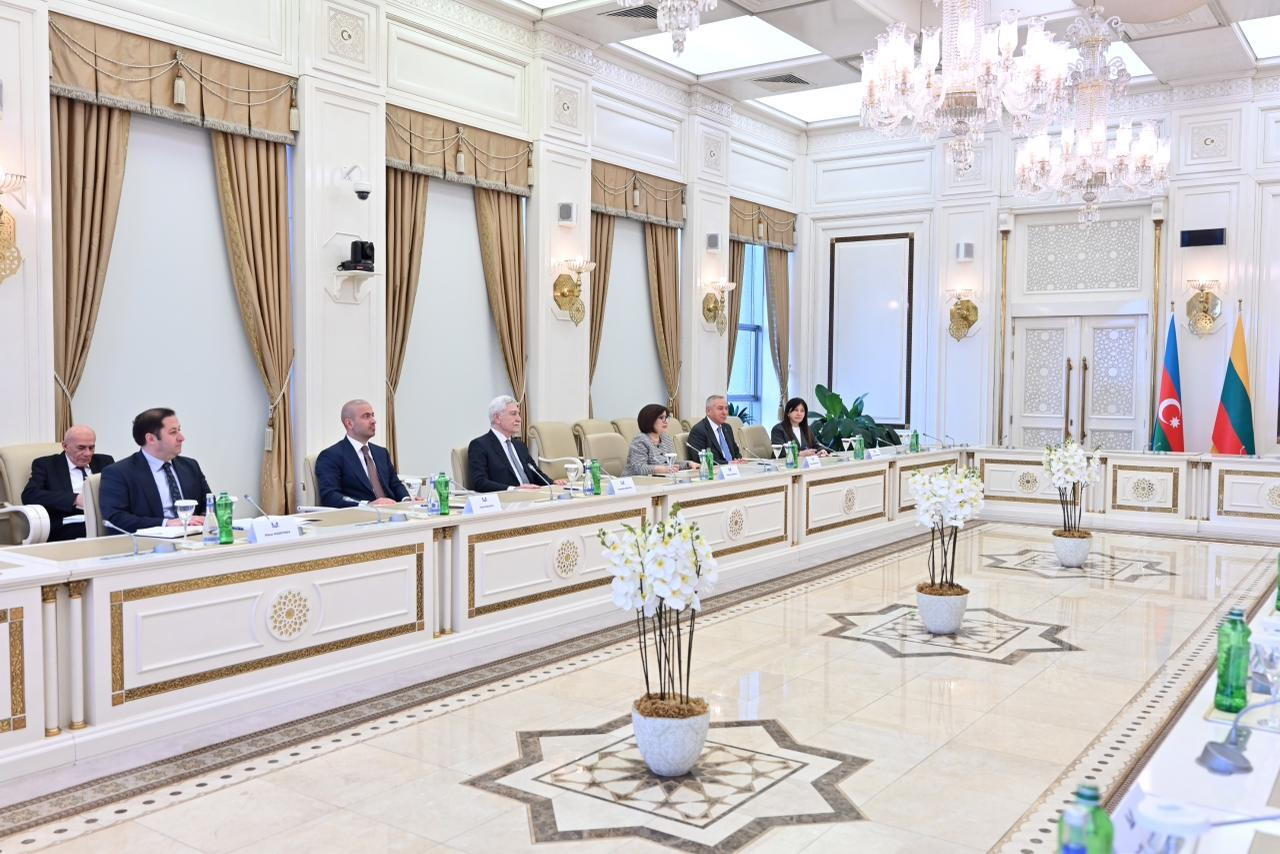 Обсуждено развитие сотрудничества между парламентами Азербайджана и Литвы